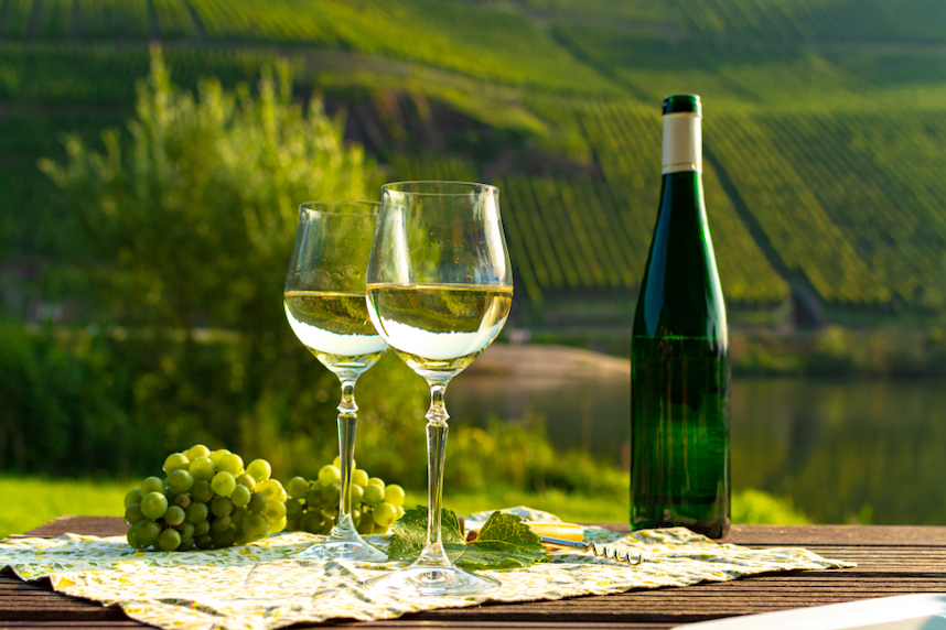 Riesling Renano: the noble grape variety par excellence
